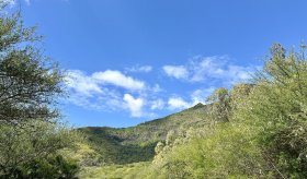  A VENDRE - TERRAIN RÉSIDENTIEL - pailles  