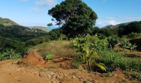  FOR SALE - AGRICULTURAL LAND - anse-jonchee  