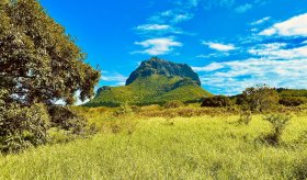  A VENDRE - TERRAIN AGRICOLE - le-morne  