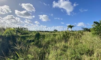  FOR SALE - AGRICULTURAL LAND - the-vale  