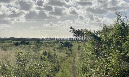  FOR SALE - AGRICULTURAL LAND - charmoses  