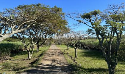  FOR SALE - AGRICULTURAL LAND - charmoses  