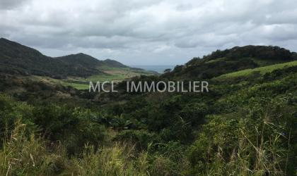  SALES - AGRICULTURAL LAND - anse-jonchee  