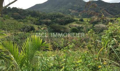  FOR SALE - AGRICULTURAL LAND - anse-jonchee  