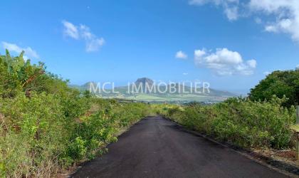  FOR SALE - AGRICULTURAL LAND - pamplemousses  