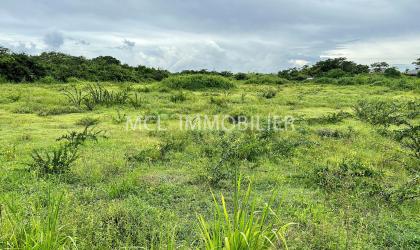  SALES - RESIDENTIAL LAND - pereybere  